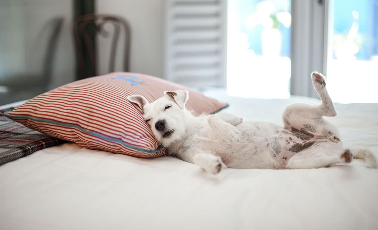 Palihouse West Hollywood